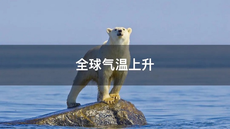 螞蟻商聯(lián)攜手金好來(lái)超市發(fā)起“以竹代木，翠我山河”植樹(shù)節(jié)活動(dòng)，從改變生活習(xí)慣開(kāi)始！喊你為公益接力~
